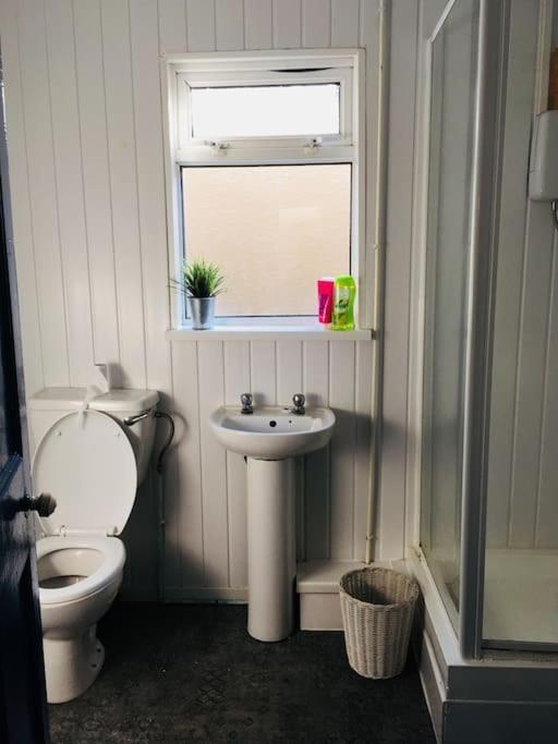 Hillcrest Cottage, Comfy Flat, Trendy Uplands Area Swansea Bagian luar foto